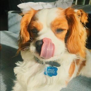 Meet your Posher, Caitlin